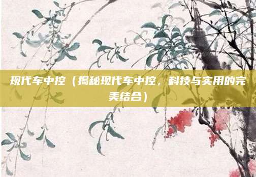 现代车中控(揭秘现代车中控,科技与实用的完美结合)