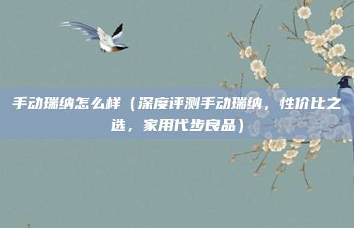 手动瑞纳怎么样(深度评测手动瑞纳,性价比之选,家用代步良品)