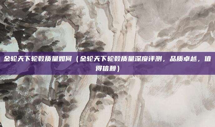 金轮天下轮毂质量如何（金轮天下轮毂质量深度评测，品质卓越，值得信赖）