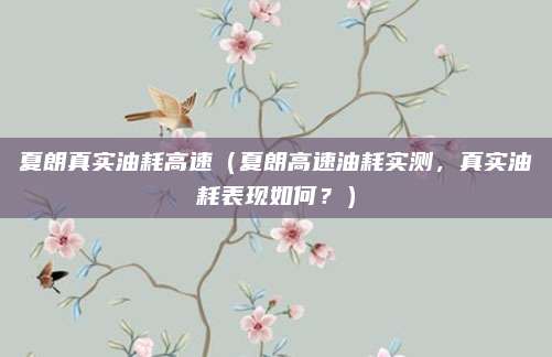 夏朗真实油耗高速（夏朗高速油耗实测，真实油耗表现如何？）