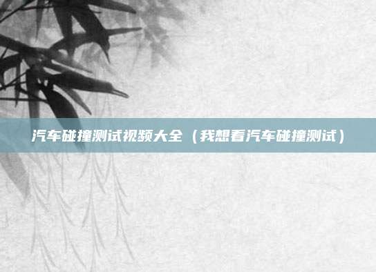 汽车碰撞测试视频大全(我想看汽车碰撞测试)