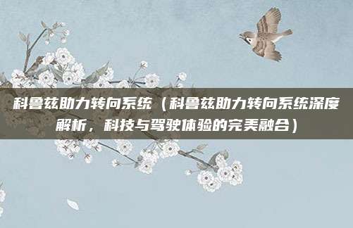 科鲁兹助力转向系统(科鲁兹助力转向系统深度解析,科技与驾驶体验的完美融合)