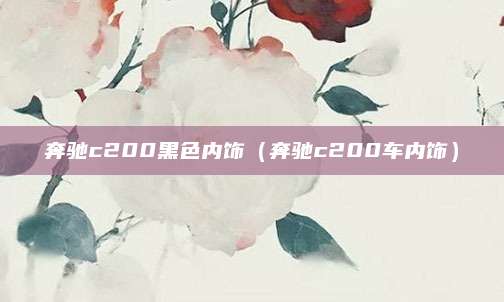 奔驰c200黑色内饰(奔驰c200车内饰)