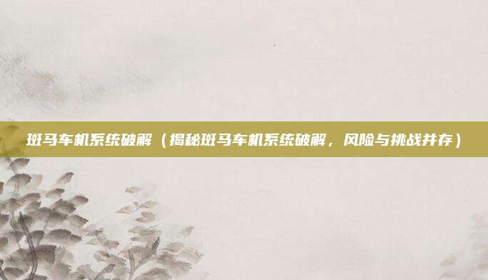 斑马车机系统破解（揭秘斑马车机系统破解，风险与挑战并存）
