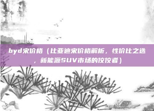 byd宋价格(比亚迪宋价格解析,性价比之选,新能源SUV市场的佼佼者)