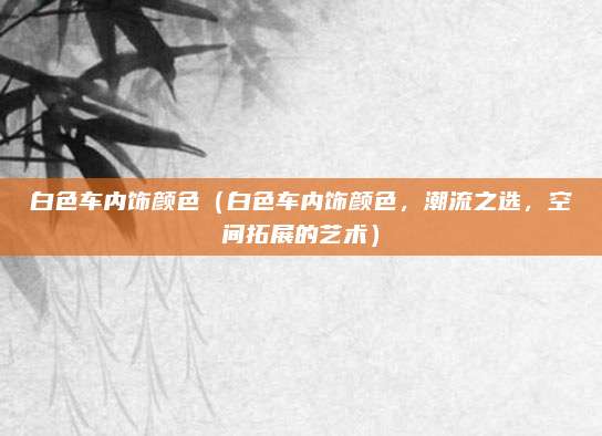 白色车内饰颜色(白色车内饰颜色,潮流之选,空间拓展的艺术)