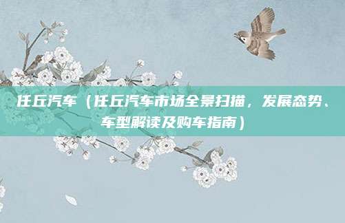 任丘汽车(任丘汽车市场全景扫描,发展态势、车型解读及购车指南)