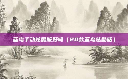 蓝鸟手动炫酷版好吗(20款蓝鸟炫酷版)