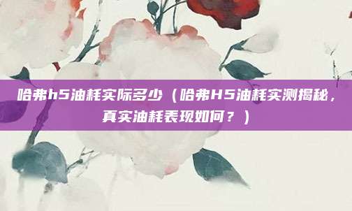 哈弗h5油耗实际多少(哈弗H5油耗实测揭秘,真实油耗表现如何?)