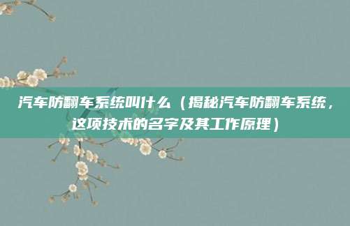 汽车防翻车系统叫什么(揭秘汽车防翻车系统,这项技术的名字及其工作原理)