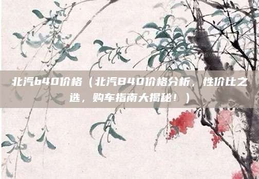北汽b40价格（北汽B40价格分析，性价比之选，购车指南大揭秘！）