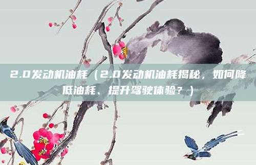 2.0发动机油耗(2.0发动机油耗揭秘,如何降低油耗、提升驾驶体验?)