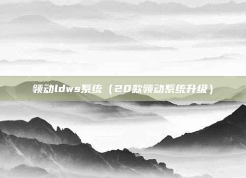 领动ldws系统(20款领动系统升级)