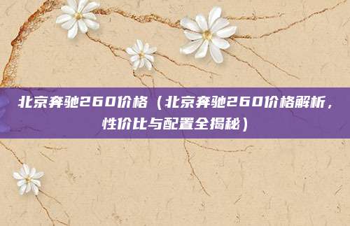 北京奔驰260价格(北京奔驰260价格解析,性价比与配置全揭秘)