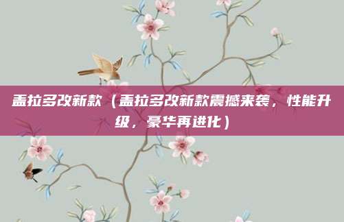 盖拉多改新款(盖拉多改新款震撼来袭,性能升级,豪华再进化)