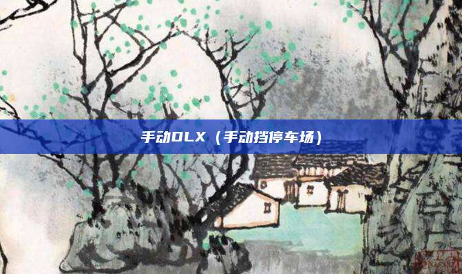 手动DLX(手动挡停车场)