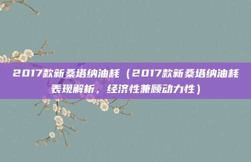 2017款新桑塔纳油耗(2017款新桑塔纳油耗表现解析,经济性兼顾动力性)