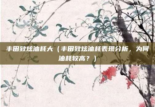 丰田致炫油耗大(丰田致炫油耗表现分析,为何油耗较高?)