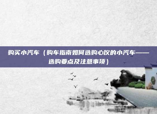 购买小汽车(购车指南如何选购心仪的小汽车——选购要点及注意事项)