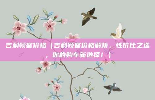 吉利领客价格(吉利领客价格解析,性价比之选,你的购车新选择!)
