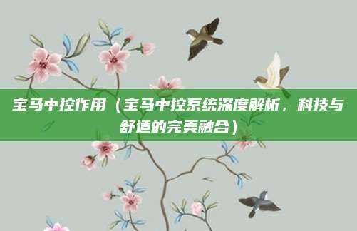 宝马中控作用(宝马中控系统深度解析,科技与舒适的完美融合)