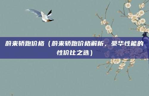 蔚来轿跑价格(蔚来轿跑价格解析,豪华性能的性价比之选)