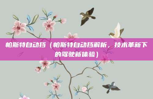 帕斯特自动挡(帕斯特自动挡解析,技术革新下的驾驶新体验)