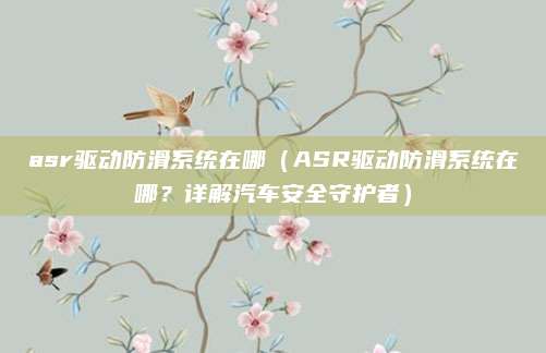 asr驱动防滑系统在哪（ASR驱动防滑系统在哪？详解汽车安全守护者）