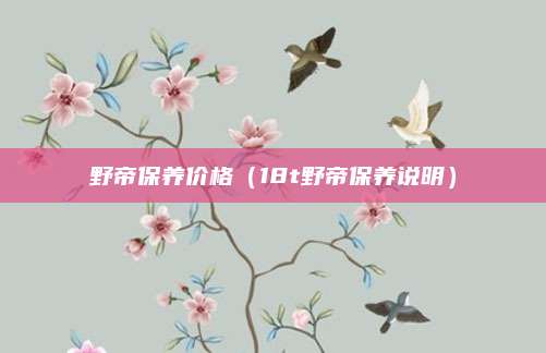 野帝保养价格(18t野帝保养说明)
