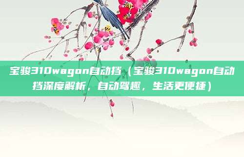 宝骏310wagon自动挡(宝骏310wagon自动挡深度解析,自动驾趣,生活更便捷)