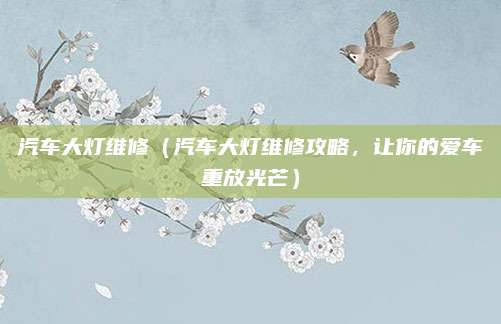 汽车大灯维修(汽车大灯维修攻略,让你的爱车重放光芒)