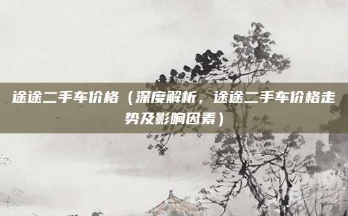 途途二手车价格（深度解析，途途二手车价格走势及影响因素）