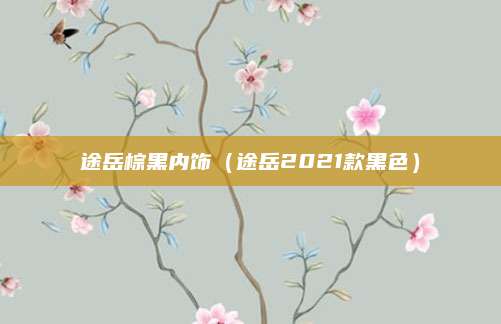途岳棕黑内饰(途岳2021款黑色)