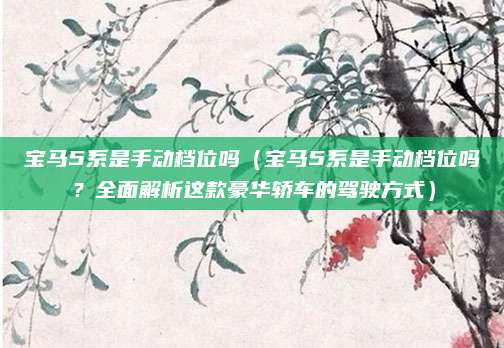 宝马5系是手动档位吗（宝马5系是手动档位吗？全面解析这款豪华轿车的驾驶方式）