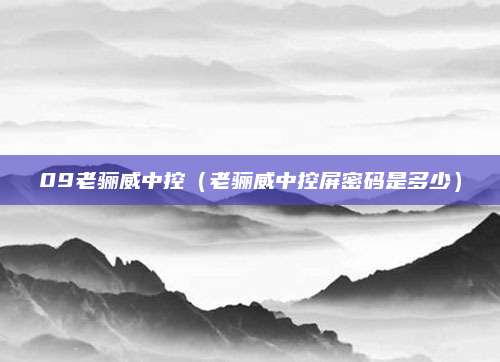 09老骊威中控(老骊威中控屏密码是多少)