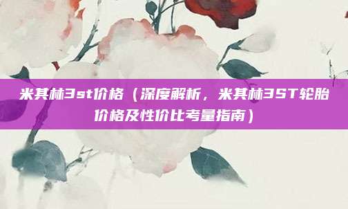 米其林3st价格(深度解析,米其林3ST轮胎价格及性价比考量指南)