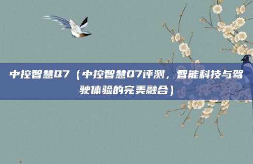 中控智慧Q7（中控智慧Q7评测，智能科技与驾驶体验的完美融合）