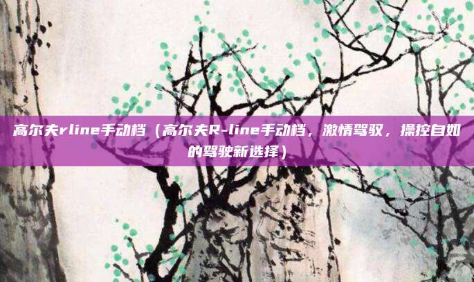 高尔夫rline手动档（高尔夫R-line手动档，激情驾驭，操控自如的驾驶新选择）