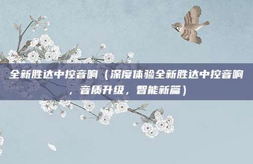 全新胜达中控音响（深度体验全新胜达中控音响，音质升级，智能新篇）