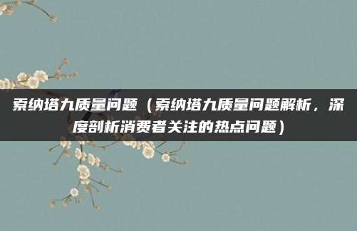 索纳塔九质量问题(索纳塔九质量问题解析,深度剖析消费者关注的热点问题)