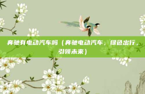奔驰有电动汽车吗（奔驰电动汽车，绿色出行，引领未来）