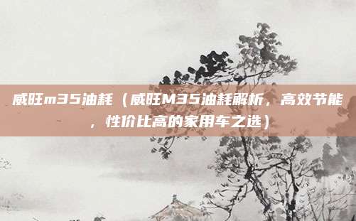 威旺m35油耗（威旺M35油耗解析，高效节能，性价比高的家用车之选）