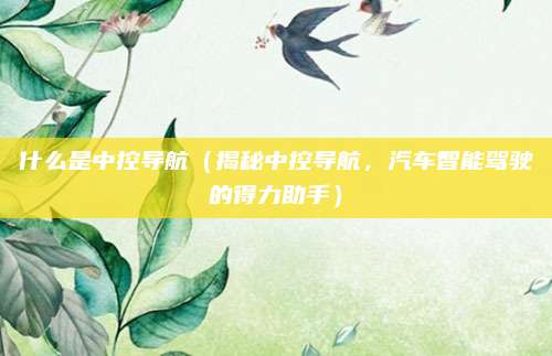 什么是中控导航（揭秘中控导航，汽车智能驾驶的得力助手）