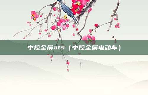 中控全屏ats(中控全屏电动车)