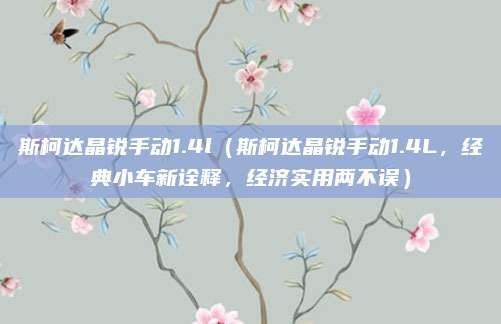 斯柯达晶锐手动1.4l（斯柯达晶锐手动1.4L，经典小车新诠释，经济实用两不误）