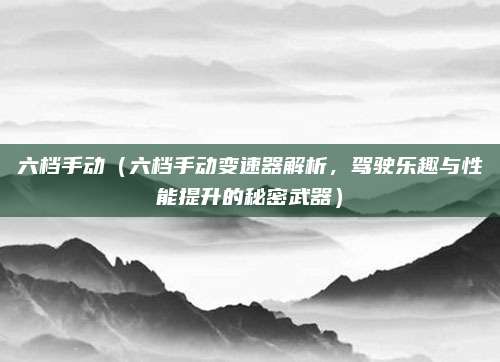 六档手动（六档手动变速器解析，驾驶乐趣与性能提升的秘密武器）