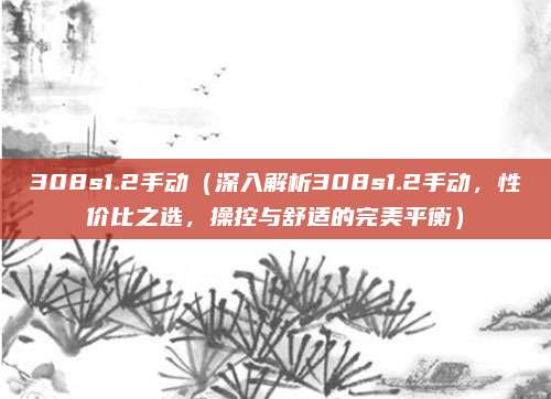 308s1.2手动（深入解析308s1.2手动，性价比之选，操控与舒适的完美平衡）
