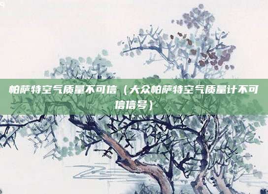 帕萨特空气质量不可信(大众帕萨特空气质量计不可信信号)