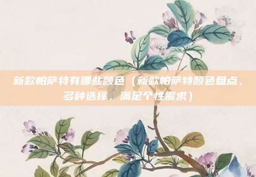 新款帕萨特有哪些颜色（新款帕萨特颜色盘点，多种选择，满足个性需求）