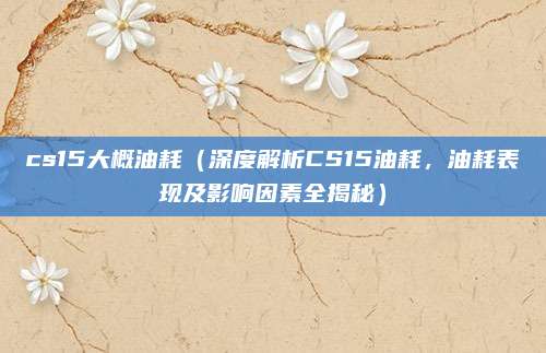 cs15大概油耗（深度解析CS15油耗，油耗表现及影响因素全揭秘）
